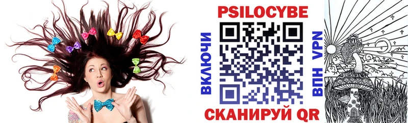 дарнет шоп Томилино Галлюциногенные грибы GOLDEN TEACHER